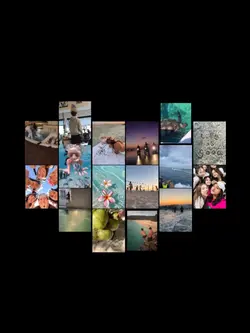 Summer Recap