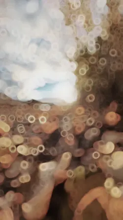 The best slowmotion