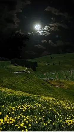 4K Effect