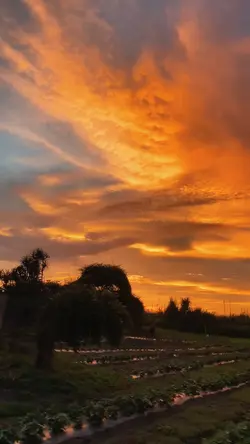 sunset aesthetic