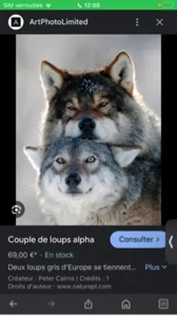 Nouvelle sur Capcut