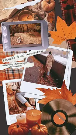 daily autumn