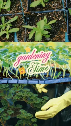 gardening time