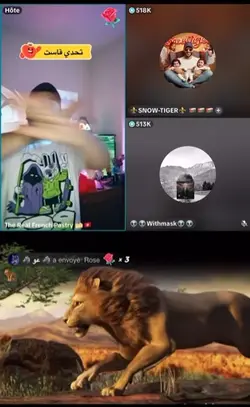 Des lions sans arrêt