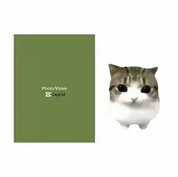 DAMDAM DIDID CAT