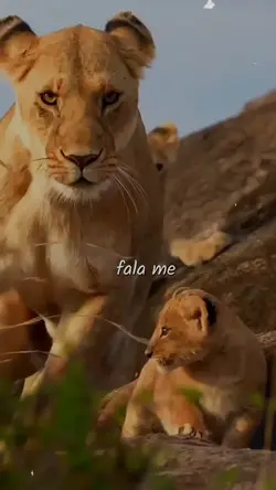 filhos 
