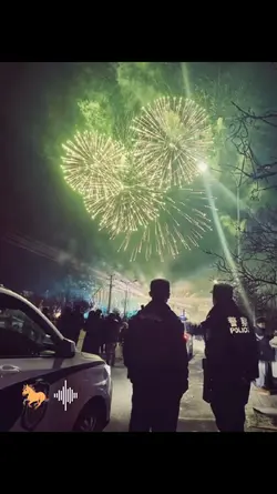 bgm:新年好马dj