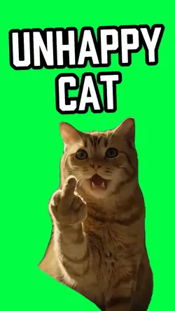 CAT GIVES THE FINGER