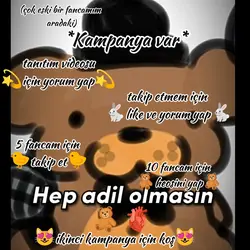 kampanyaaa!