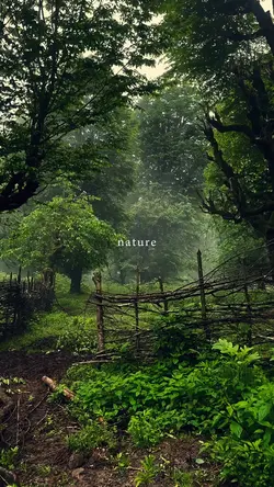 nature