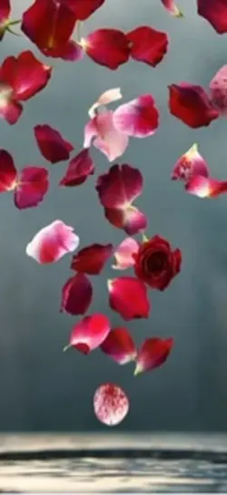 予約バトルテンプレ