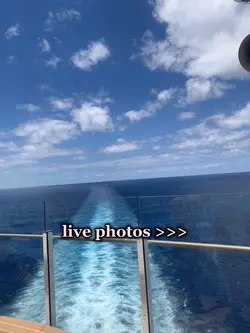 live photos 