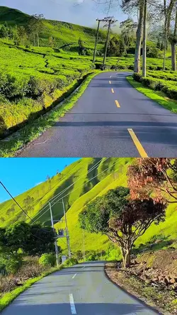split screen HD 