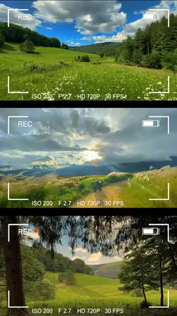 Transisi pro