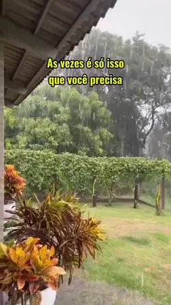 vc só precisa