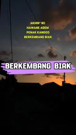 BEKEMBANG BIAK