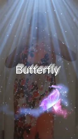 Butterfly Effect 