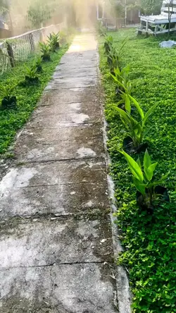 motivasi pagi