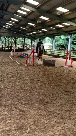 1.05 INA HEADCOLLAR