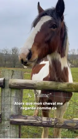 je t’aime alors que 