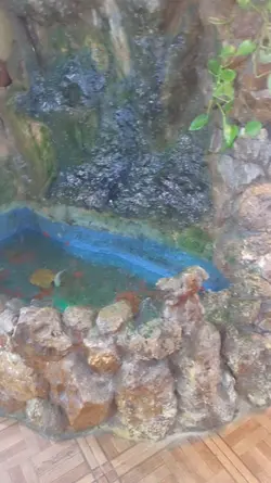vidéo effet dynamiqu