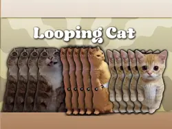 Looping the room