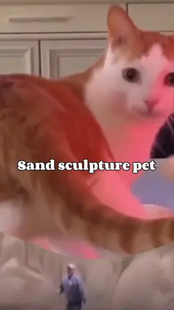 Sand sculpture pet