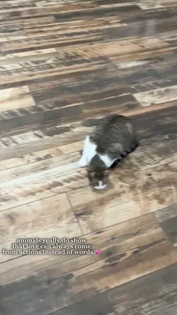 animals love🥹