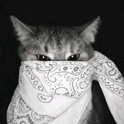 lirik1poto