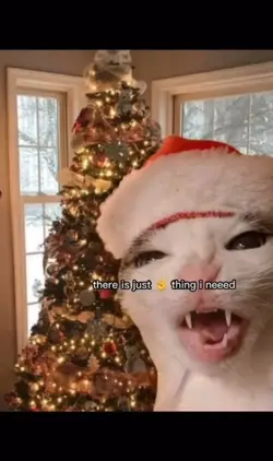 Christmas Cat