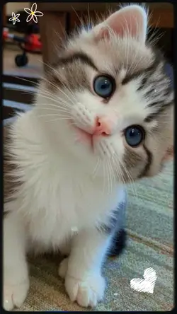 So Cute