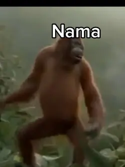 gorila joget