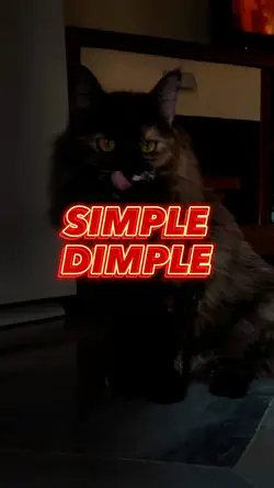 Simple Dimple