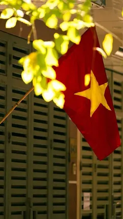 SAO TRÊN MŨ LÀ
