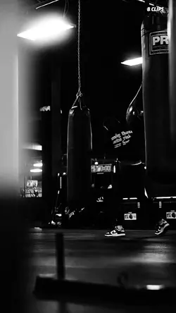 Cinematic gym 13