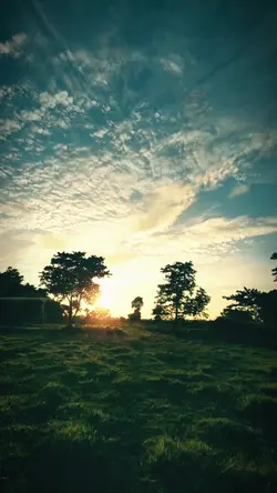 Nature