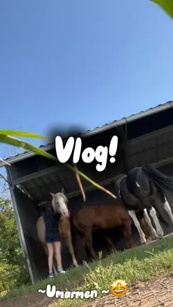 Vlog🫣🥹(German)