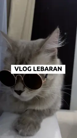 VLOG LEBARAN