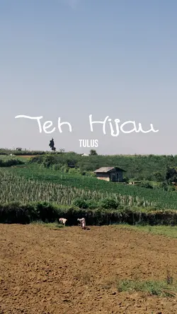 Tulus Teh Hijau