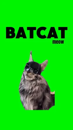BATCAT MEOW