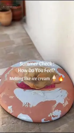 Melting Ice Cream