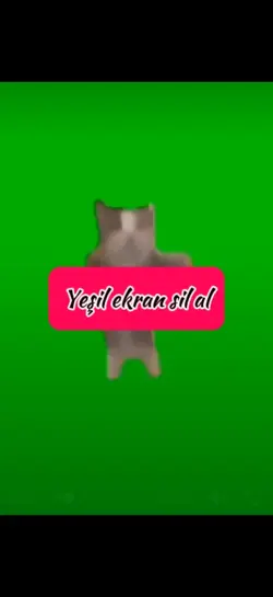 Yeşil ekran sil al