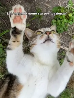 Sono paziente🤣