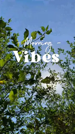 Morning Vibes