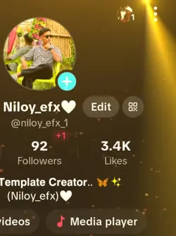 TikTok Profile View 