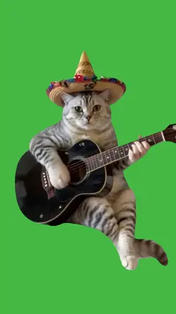 cat playing guitar 