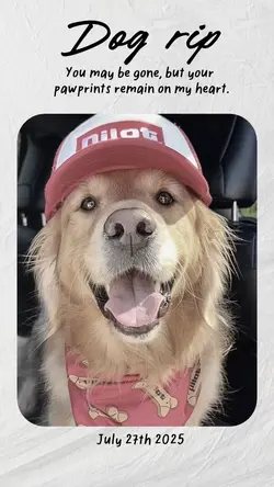 Dog rip