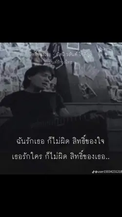 ฟีดที