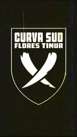 CURVA SUD