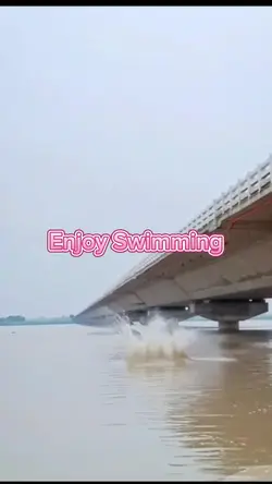 Enjoy swimming